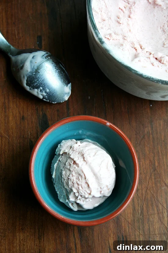 Jammy Rhubarb Ripple Ice Cream 2 A vibrant scoop of homemade rhubarb ice cream, showcasing its creamy texture and beautiful pink hue, a testament to Jeni's Splendid method.