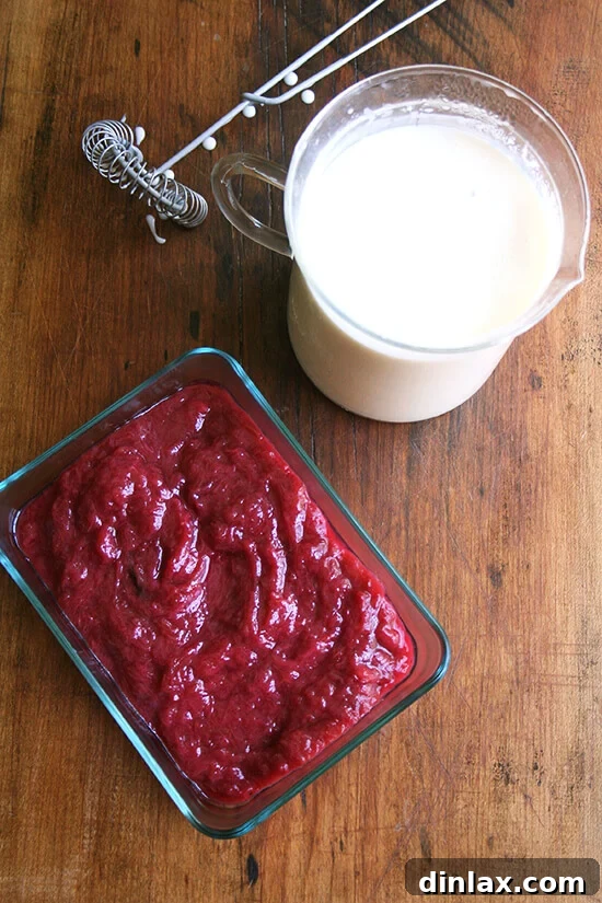 Jammy Rhubarb Ripple Ice Cream 10 A combination of smooth rhubarb purée and Jeni's Splendid Ice Cream base, ready for whisking and churning.
