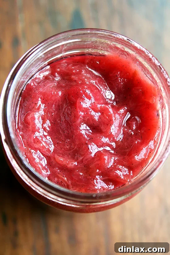 Spring preserved in a jar, this rhubarb jam comes together in no time - I only fear it may distract you from making this most-delicious rhubarb ice cream. // alexandracooks.com A jar of homemade rhubarb jam, showcasing its vibrant magenta color and flecks of vanilla bean, ready to preserve the taste of spring.