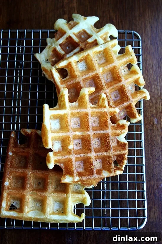 Adored for their crisp crust and crepe-like interior, these waffles are easy to make -- there is no yeast or long overnight rise and no whipped egg whites. // alexandracooks.com