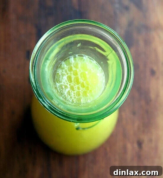 watermelon agua fresca