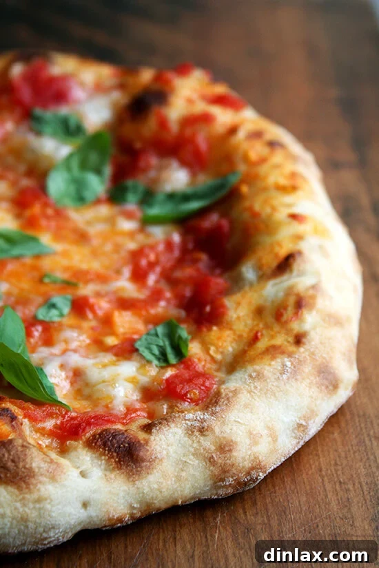 Baking Steel Masterpiece: Margherita & Caramelized Onion Burrata Pizzas 13 A whole, freshly baked Margherita pizza on a cutting board, topped with vibrant basil.