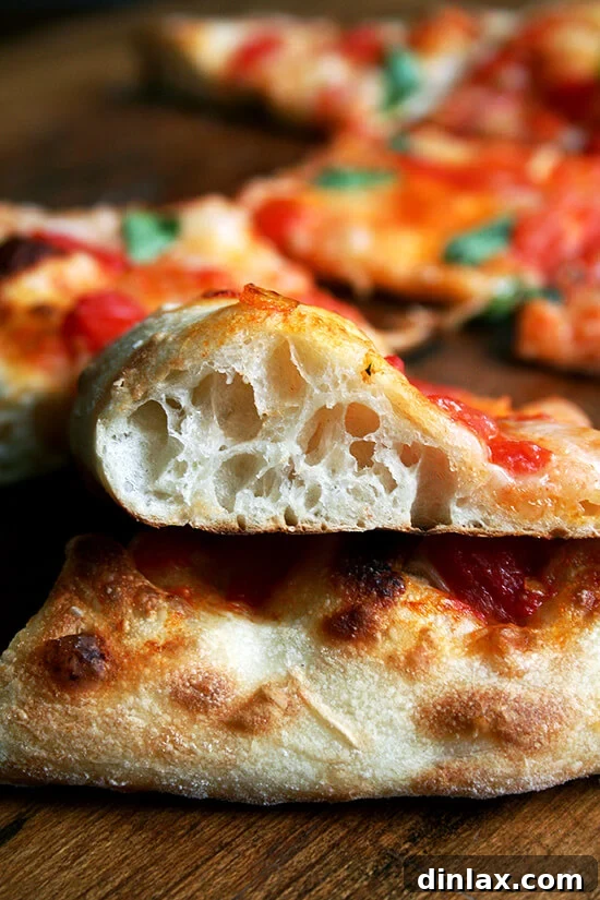 Baking Steel Masterpiece: Margherita & Caramelized Onion Burrata Pizzas 3 A close-up side view of a Margherita pizza crust, showcasing impressive oven spring and a light, airy texture.