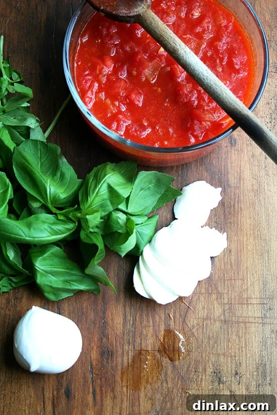Baking Steel Masterpiece: Margherita & Caramelized Onion Burrata Pizzas 6 Fresh ingredients laid out for Margherita pizza: tomato sauce, fresh basil leaves, and sliced mozzarella.