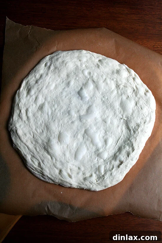 Baking Steel Masterpiece: Margherita & Caramelized Onion Burrata Pizzas 8 A stretched round of Lahey pizza dough resting on parchment paper on a pizza peel, ready for toppings.