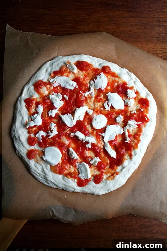 Baking Steel Masterpiece: Margherita & Caramelized Onion Burrata Pizzas 10 A stretched round of Lahey pizza dough on a pizza peel, topped with sauce and melted mozzarella cheese.