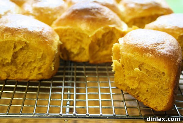 A close-up shot of a single pumpkin dinner roll, torn open to reveal its soft, fluffy interior.