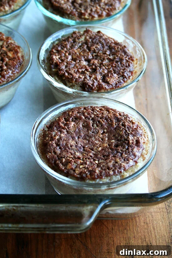 Wholesome Baked Steel Cut Oats 11 Several individual bowls of baked steel cut oatmeal, each perfectly portioned and ready to eat.