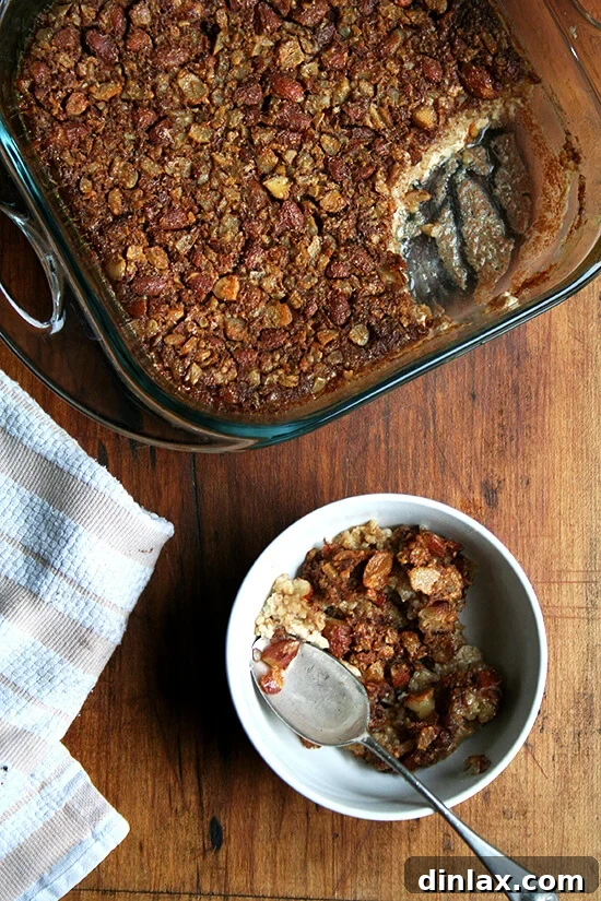 baked steel cut oatmeal A pan of golden-brown baked steel cut oatmeal cooling on a wire rack, next to a serving bowl filled with the oats.