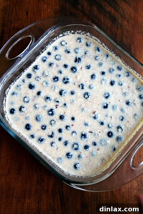 Wholesome Baked Steel Cut Oats 7 The prepared baked steel cut oatmeal mixture in an 8-inch Pyrex square baking dish, topped with berries and ready to be placed in the oven.