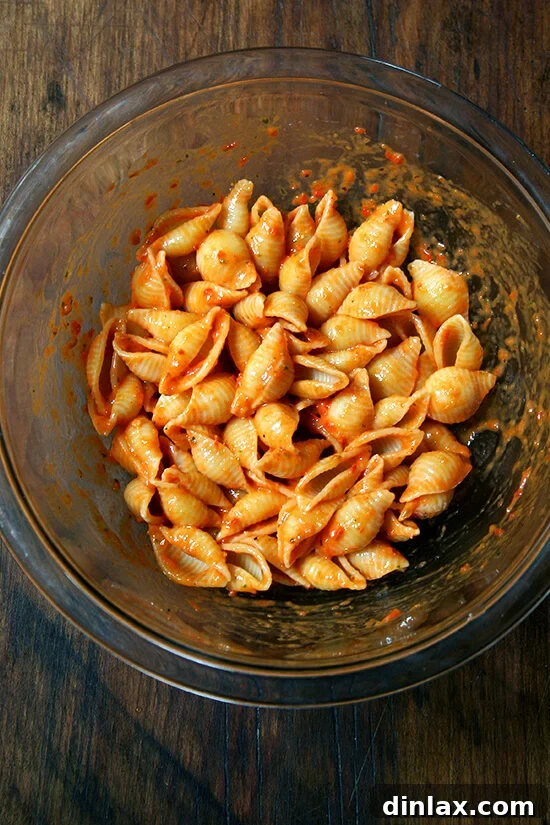 Tossing al dente pasta shells with the freshly made red bell pepper-tomato sauce for a delightful meal.