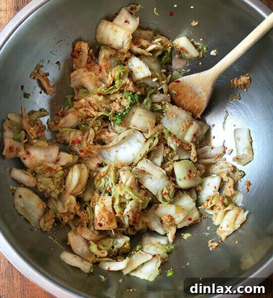 Quick Kimchi