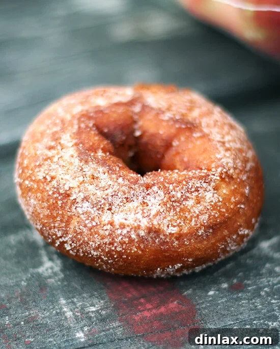 Freshly baked apple cider donuts, a perfect fall treat.