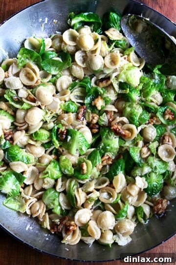 A beautifully plated serving of Orecchiette with Brown Butter, Brussels Sprouts, Walnuts, and Pecorino, showcasing the dish's vibrant colors and inviting textures.
