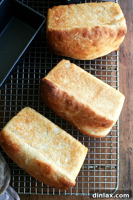 Several mini loaves of golden-brown peasant bread cooling on a wire rack, ready to be enjoyed.