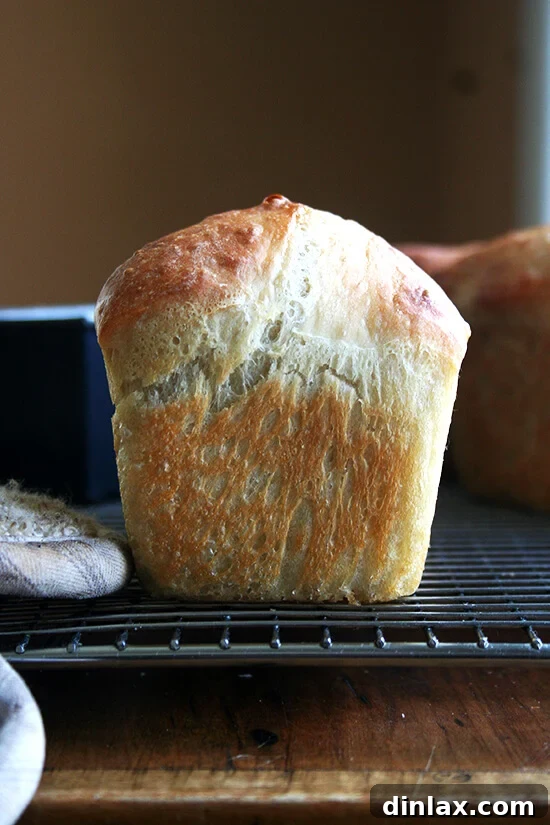 Hearty Italian Sausage, Escarole, and White Bean Soup 17 A single, perfectly baked mini loaf of peasant bread, showcasing its inviting crust.