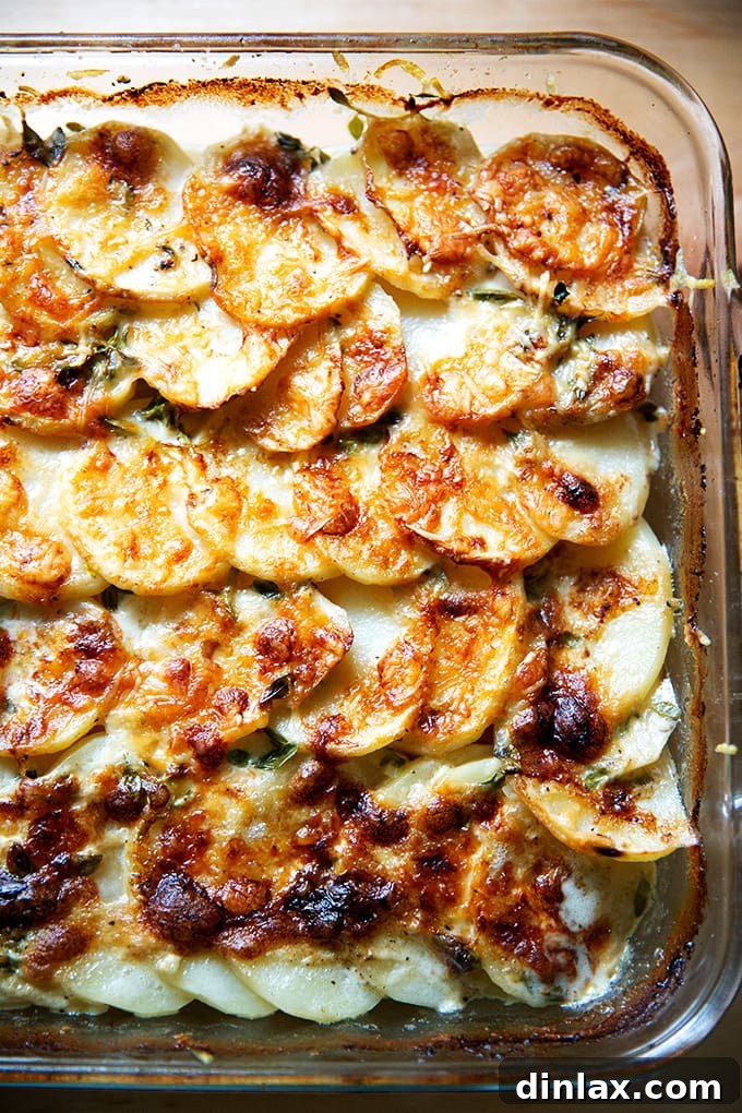 Alice Waters Perfected Potato Gratin 2 Freshly baked potato gratin with a golden-brown, crispy top, served in its baking dish.