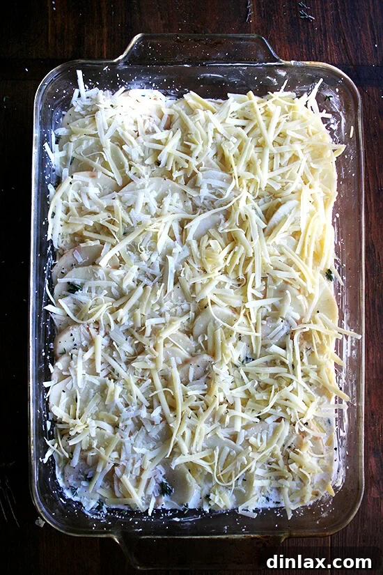 Alice Waters Perfected Potato Gratin 12 The potato gratin, elegantly topped with a generous layer of grated Gruyère and Parmesan cheeses, ready to be baked to golden perfection.