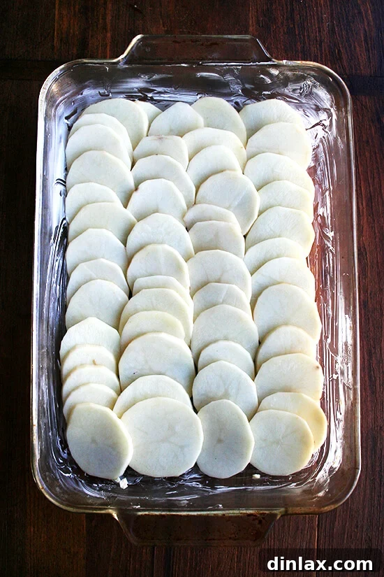 Alice Waters Perfected Potato Gratin 8 The first layer of uniformly sliced potatoes neatly arranged and overlapping in a buttered and garlic-rubbed 9x13-inch baking dish.