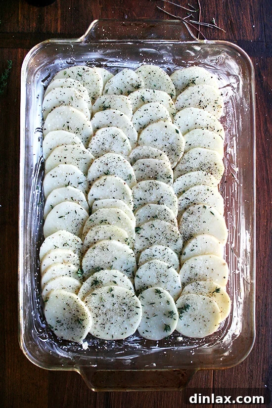 Alice Waters Perfected Potato Gratin 9 A layer of sliced potatoes in a baking dish, generously seasoned with salt, pepper, and fresh thyme leaves.