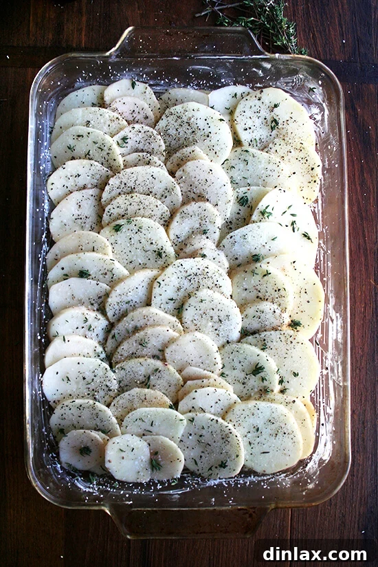 Alice Waters Perfected Potato Gratin 10 Multiple layers of seasoned sliced potatoes stacked in a baking dish, perfectly prepped and ready for the liquid and cheese topping.