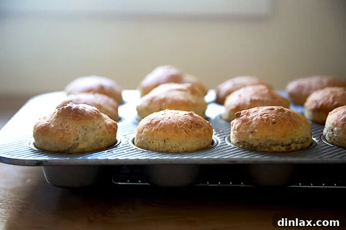 Just-baked golden brown thyme dinner rolls still nestled in their muffin tin cups.