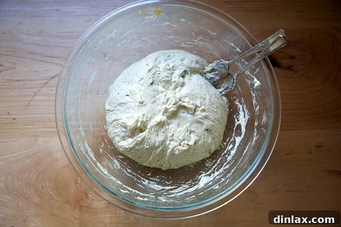 A bowl of no-knead thyme dinner roll dough, gently punched down and deflated using forks.