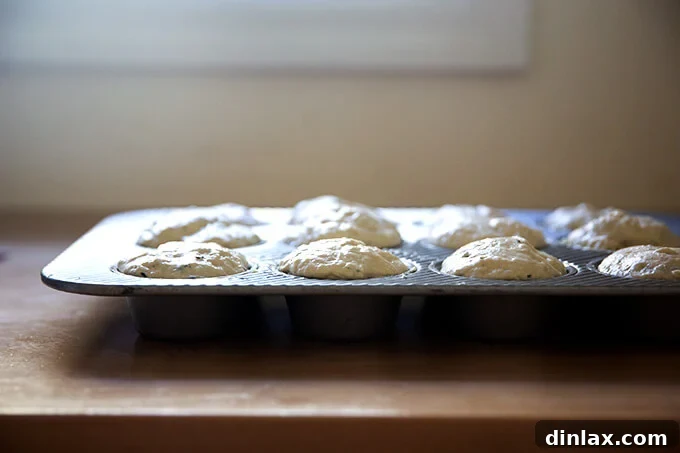 A muffin tin filled with thyme dinner roll dough, perfectly risen and prepared for baking.