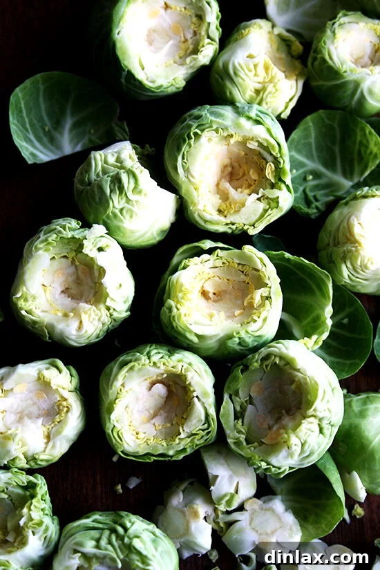 Cored Brussels sprout ready for peeling.