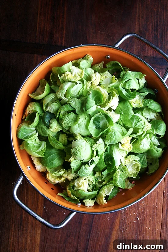 More peeled Brussels sprout leaves ready for blanching.