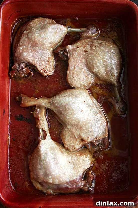 A baking dish containing four cooked duck leg confits, just removed from the oven, surrounded by the aromatic rendered fat and butter.