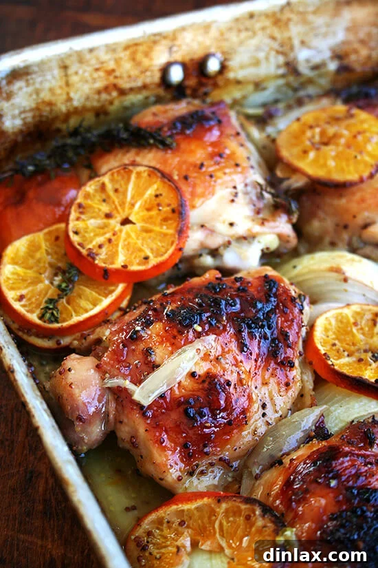 Clementine-Kissed Roast Chicken 3 A roasting pan with roast chicken and clementines, just out of the oven.