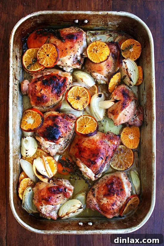 The key with this Yotam Ottolenghi roast chicken with clementines dish is to use a large roasting pan, which will allow the chicken skin to brown and crisp up beautifully. The liquid, freshly squeezed citrus juice and anise-flavored liqueur, keeps the chicken meat incredibly juicy below its crispy skin. // alexandracooks.com A roasting pan with roast chicken and clementines, glistening and perfectly cooked.