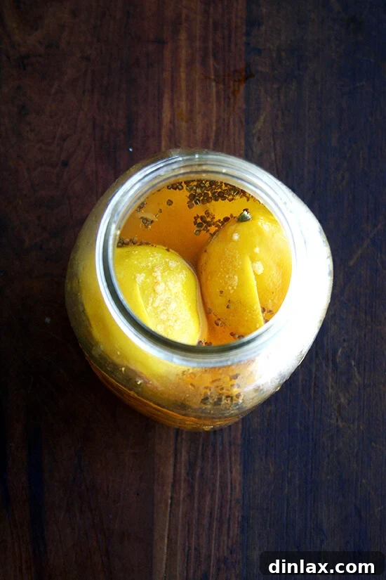 Weekend Citrus Project Two Ways to Preserve Lemons 14 An overhead shot of preserved lemons à la bon appetit in a jar.