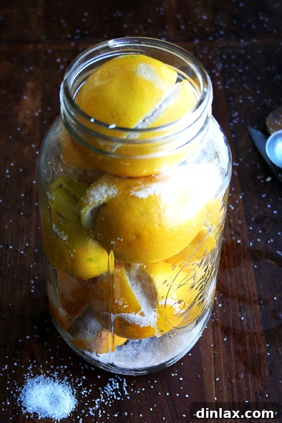 Weekend Citrus Project Two Ways to Preserve Lemons 6 preserved lemons à la Jerusalem (a cookbook) in a Mason jar