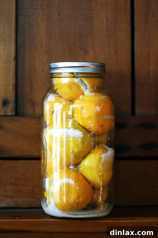 Weekend Citrus Project Two Ways to Preserve Lemons 7 A jar of preserved lemons standing on a shelf.