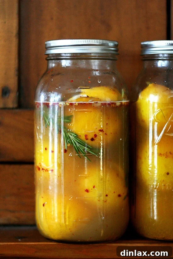 Weekend Citrus Project Two Ways to Preserve Lemons 8 Two jars of preserved lemons standing on a shelf.