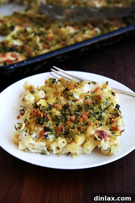Golden Crispy Macaroni Cheese Bake 2 A perfectly portioned plate of golden, herb-speckled Sheet Pan Mac N' Cheese, showcasing its crispy topping and creamy interior, ready to be enjoyed.