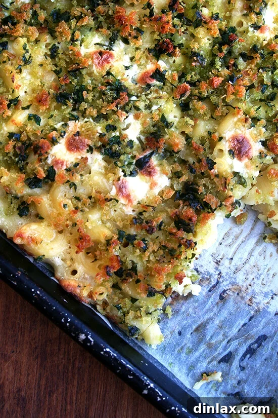 Golden Crispy Macaroni Cheese Bake 13 Portioned squares of crispy and creamy sheet pan mac n cheese after being cut, ready for serving