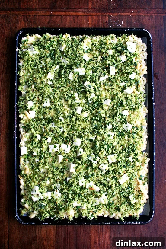 Golden Crispy Macaroni Cheese Bake 10 Sheet pan mac n cheese, fully assembled with breadcrumb topping and mozzarella, ready for the oven