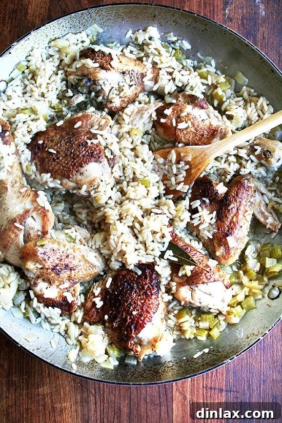 A beautifully presented dish of Canal House Chicken and Rice, featuring golden-brown chicken pieces, fluffy rice, and a rich, savory broth, ready to be enjoyed as a comforting one-pot meal. Recipe by alexandracooks.com