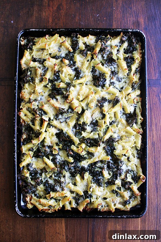 An overhead shot of just-baked pasta gratin with kale on a sheet pan, showing golden brown edges and bubbling cheese.