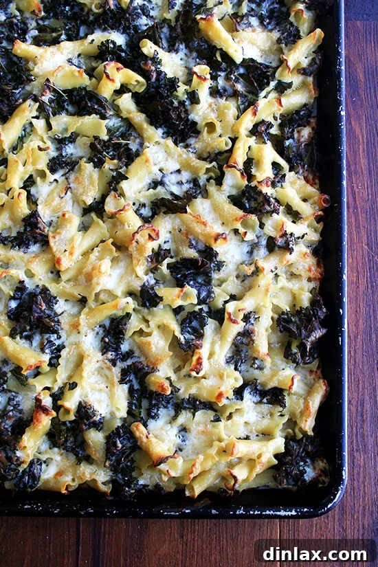 A sheet pan of pasta gratin with kale, just out of the oven, golden and bubbling at the edges.