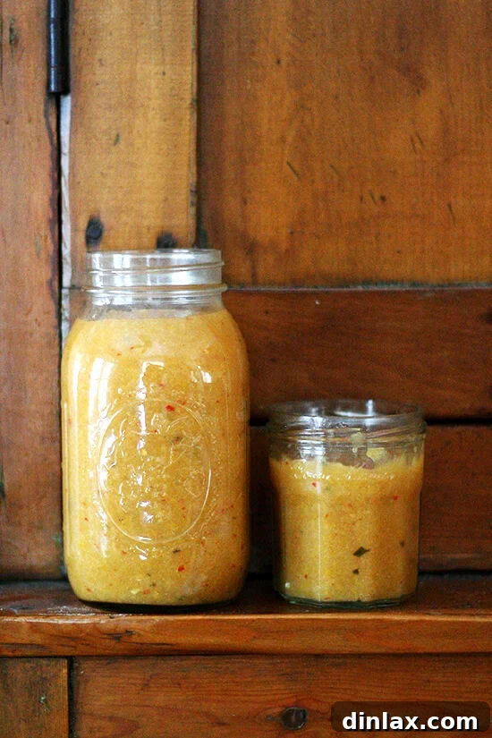 Homemade preserved lemon purée