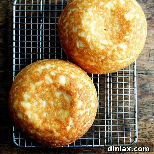 The best and easiest gluten-free bread you will ever make.