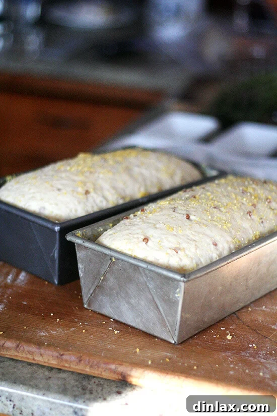 Wheat berry bread rising in loaf pan