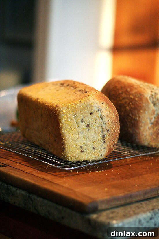 Marcy's freshly baked wheat berry bread