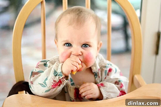 Golden Retriever Wren relaxing
