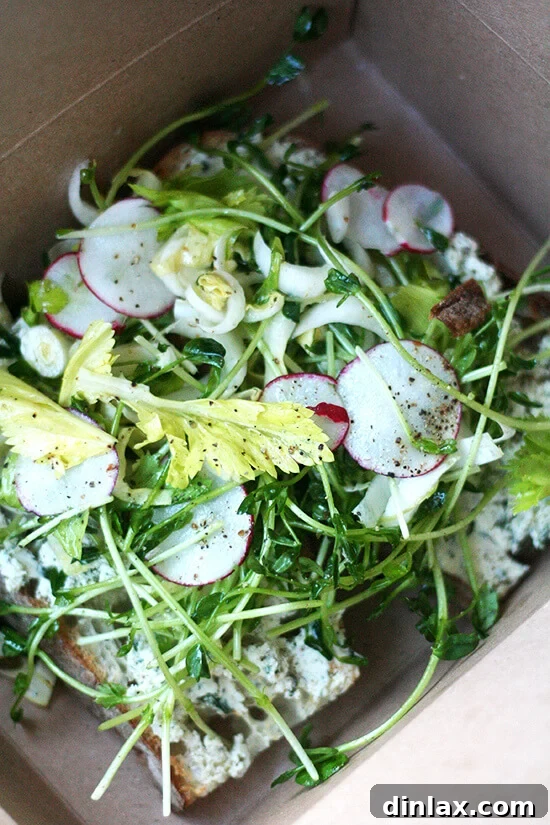 South End Kitchen Tartine with homemade herbed ricotta