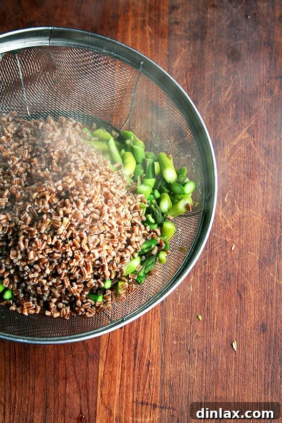 Vibrant Spring Wheat Berry Salad 5 Cooked wheat berries and bright green asparagus spears, drained and ready for mixing.